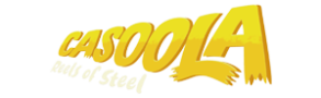 casoola logo png